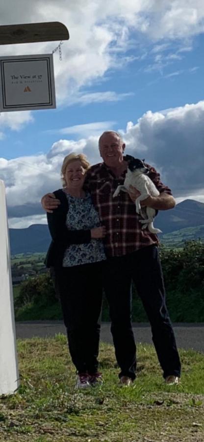 The View At 37 B&B Banbridge Bagian luar foto