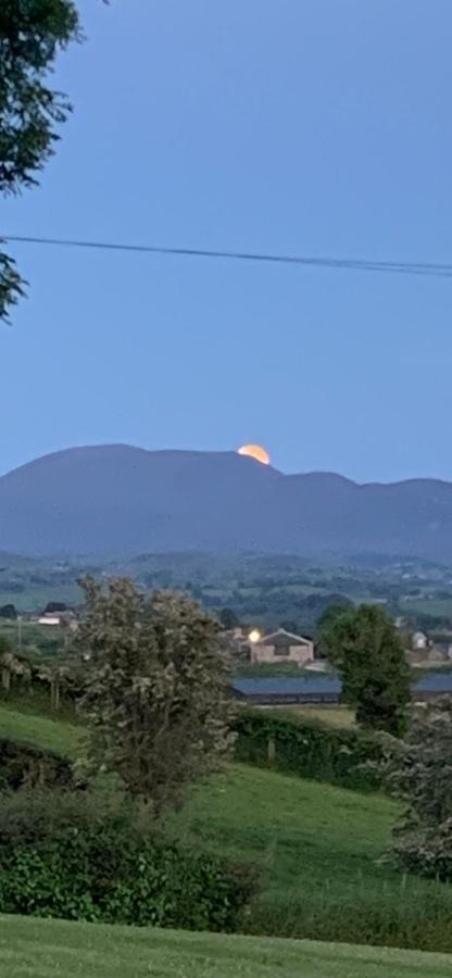 The View At 37 B&B Banbridge Bagian luar foto