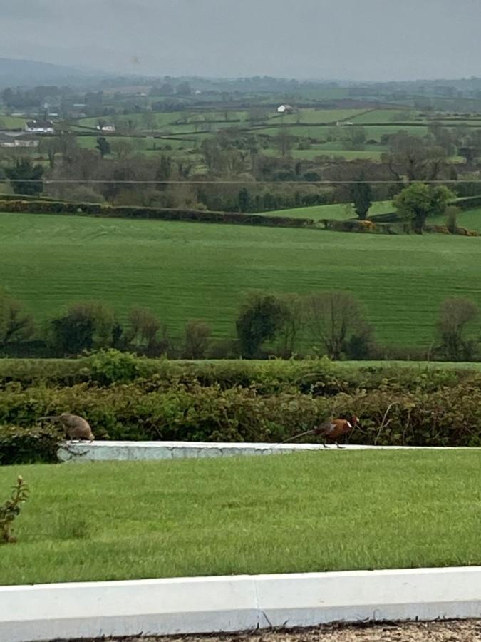 The View At 37 B&B Banbridge Bagian luar foto