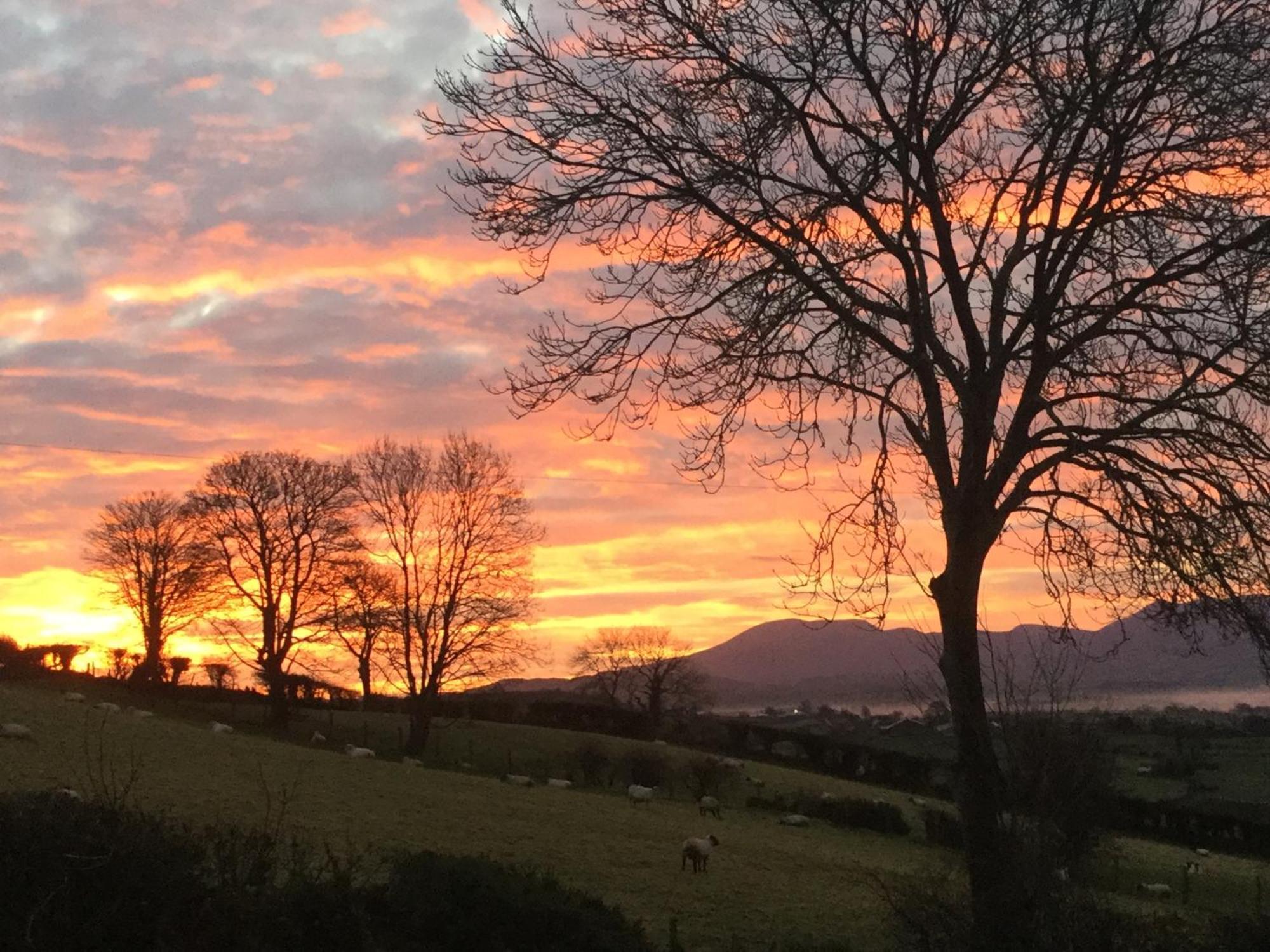 The View At 37 B&B Banbridge Bagian luar foto