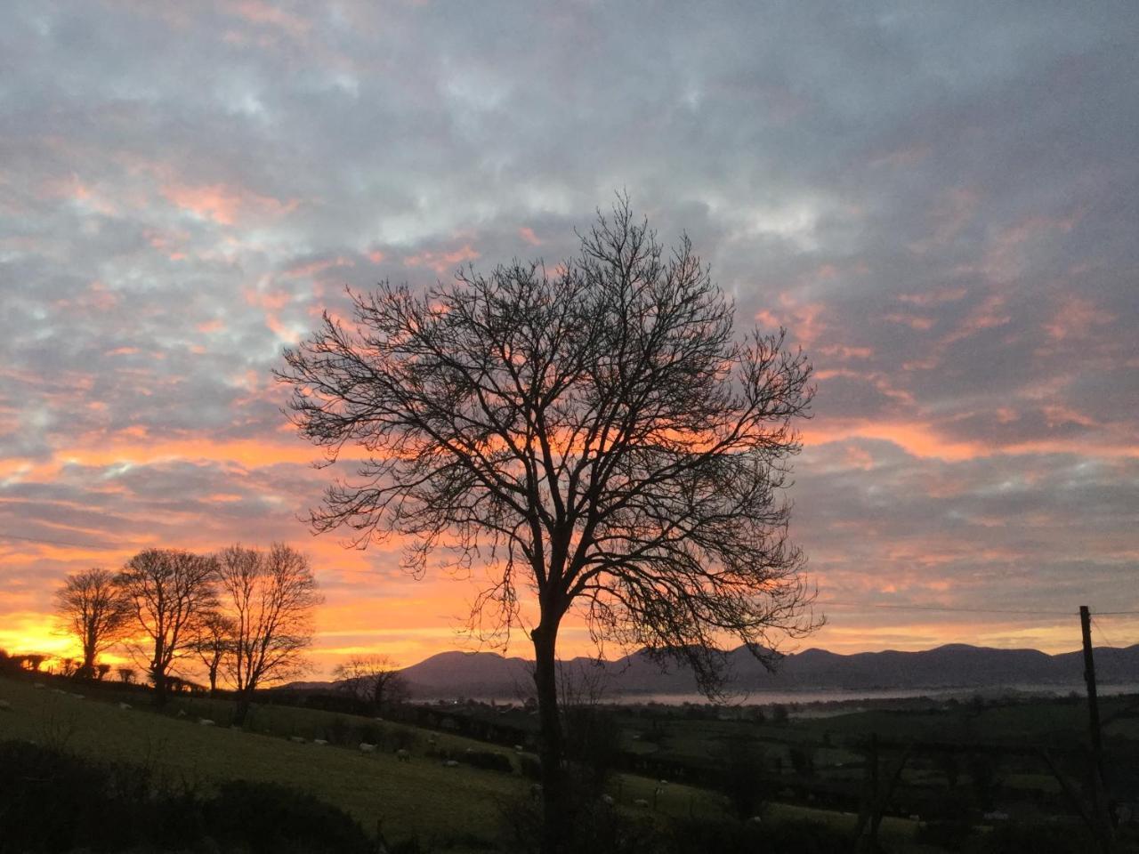 The View At 37 B&B Banbridge Bagian luar foto